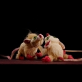 2010-04-tusine-chat-OK (22)